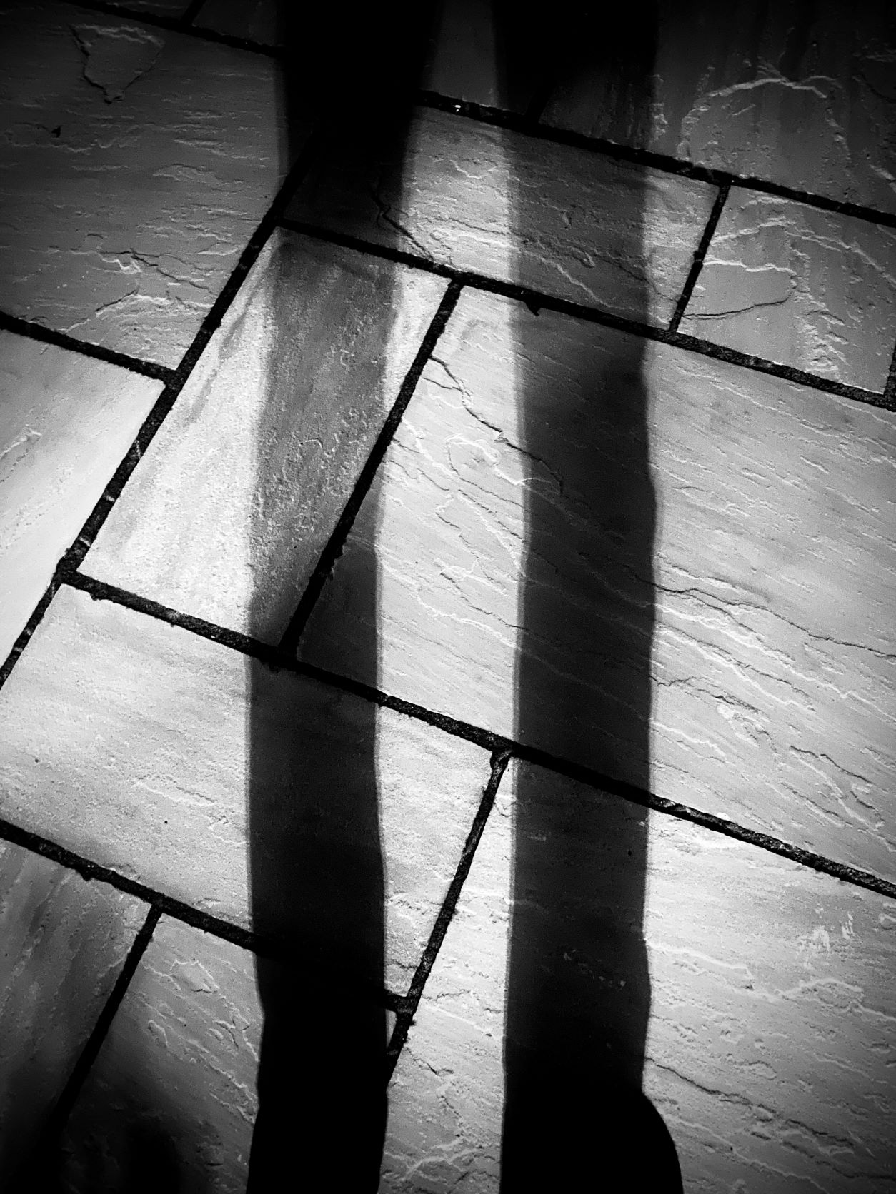 shadow-work-the-will-johnson-journey